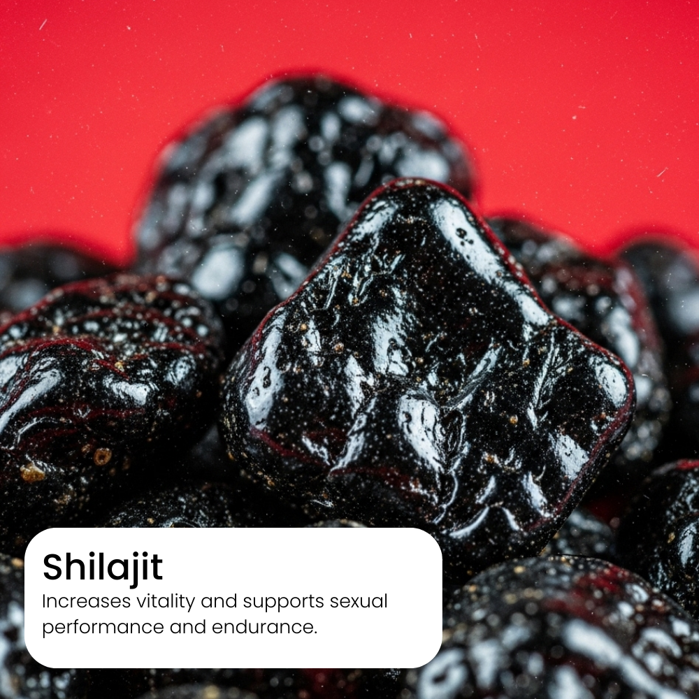 Shilajit Honey